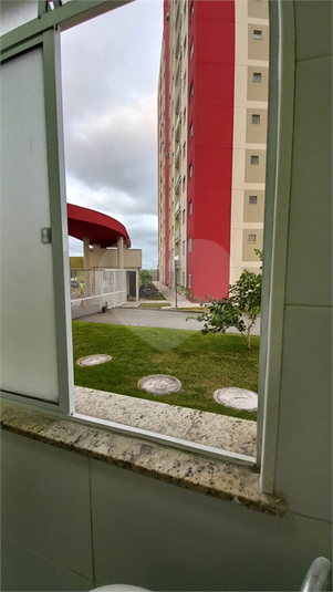 Foto REO1061665