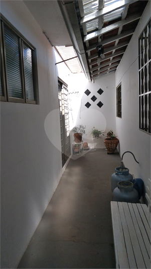 Foto REO1061698