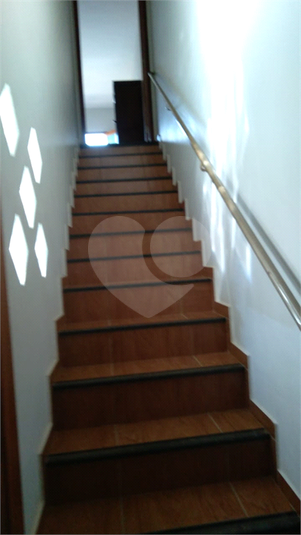 Foto REO1061698