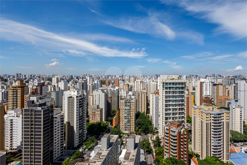 Foto REO1061728