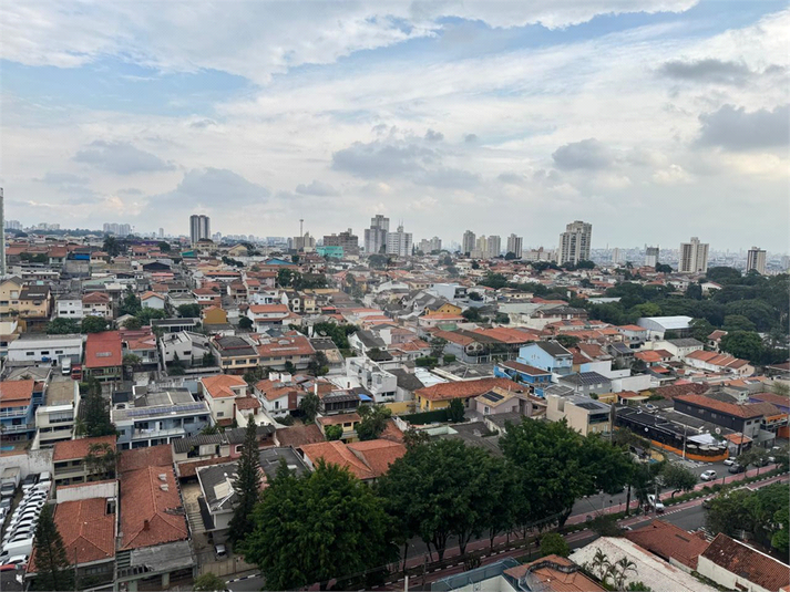 Foto REO1061748