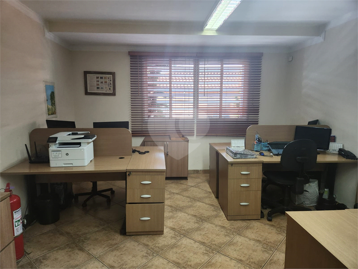 Foto REO1061765