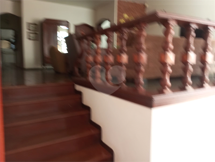 Foto REO1061774