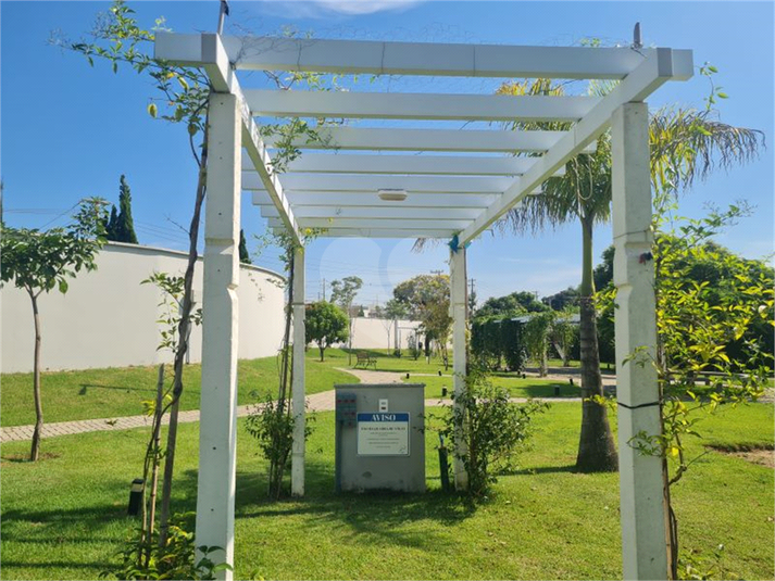 Foto REO1061824