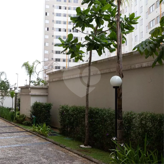 Venda Apartamento São Paulo Jardim Íris REO1061828 26