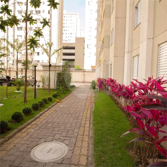 Venda Apartamento São Paulo Jardim Íris REO1061828 20