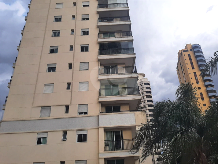 Foto REO1061865