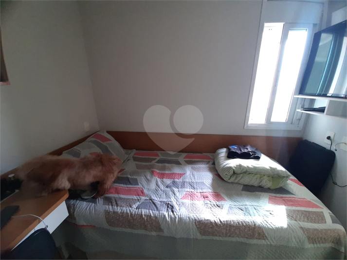 Foto REO1061865