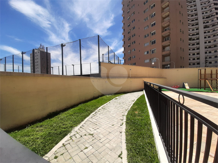 Foto REO1061865
