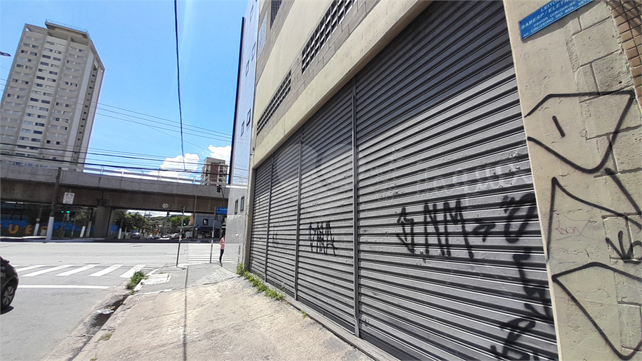Foto REO1061880