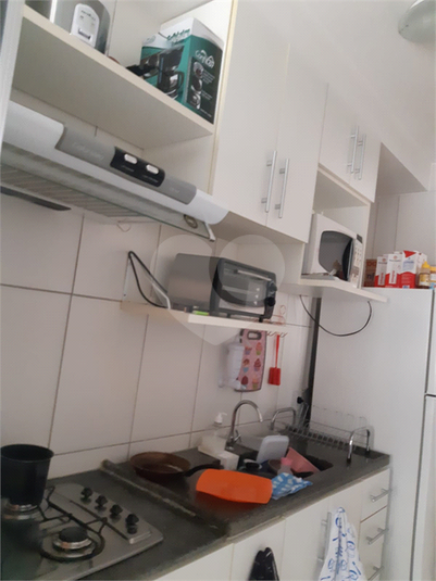 Foto REO1061916