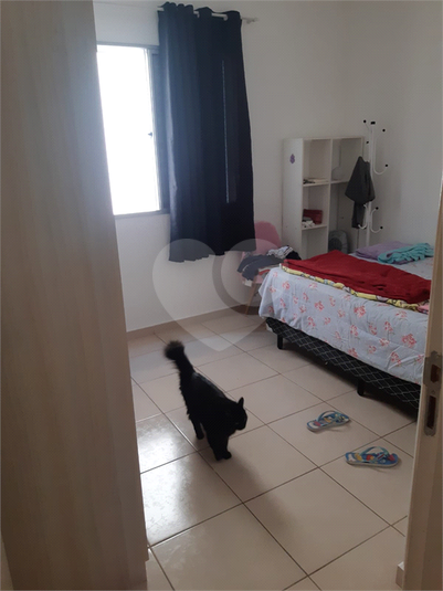 Foto REO1061916