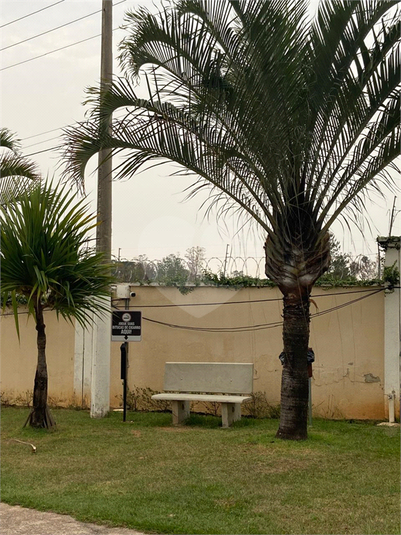 Foto REO1061916