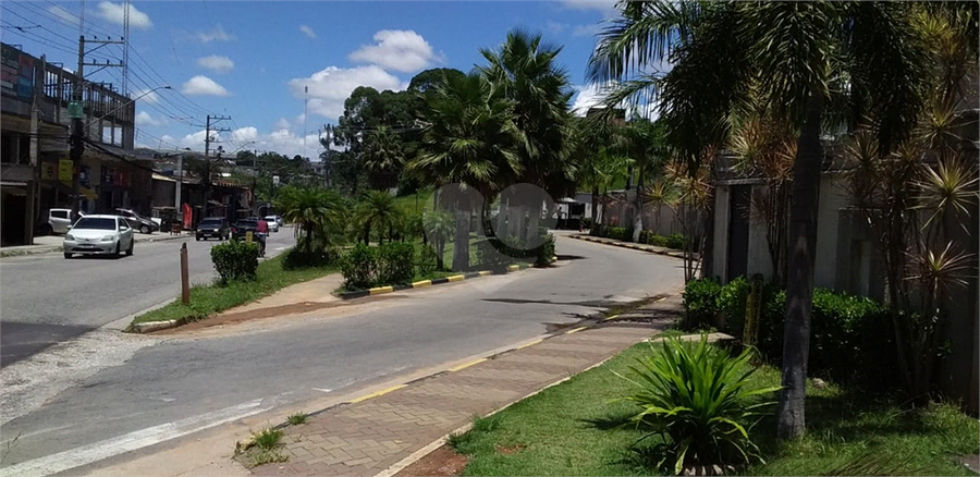 Foto REO1061943