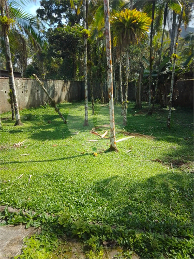 Foto REO1061996