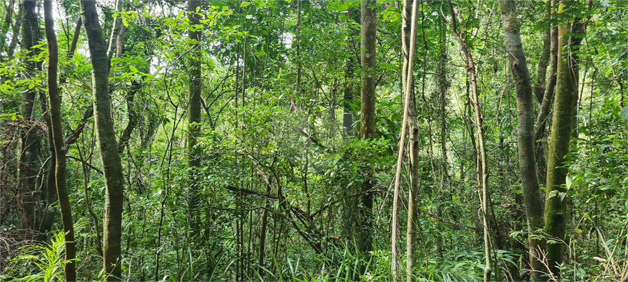 Venda Terreno Mairiporã Caraguatá REO1062051 25