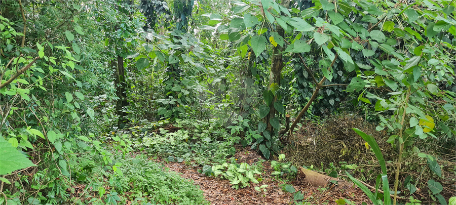 Venda Terreno Mairiporã Caraguatá REO1062051 2