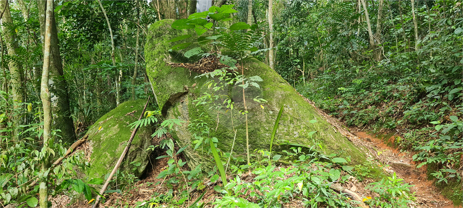 Venda Terreno Mairiporã Caraguatá REO1062051 6