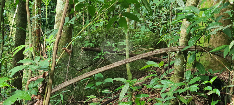 Venda Terreno Mairiporã Caraguatá REO1062051 20