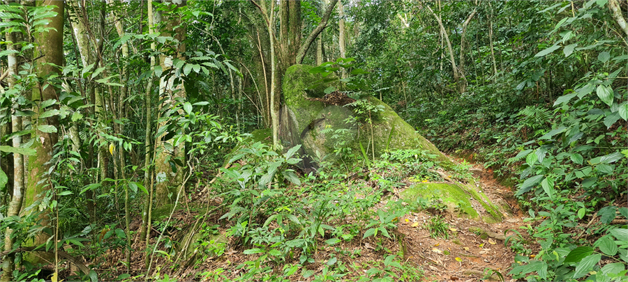 Venda Terreno Mairiporã Caraguatá REO1062051 8