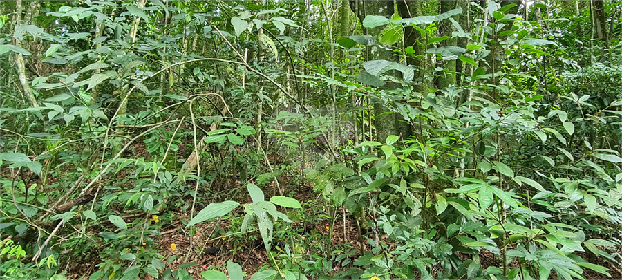 Venda Terreno Mairiporã Caraguatá REO1062051 16