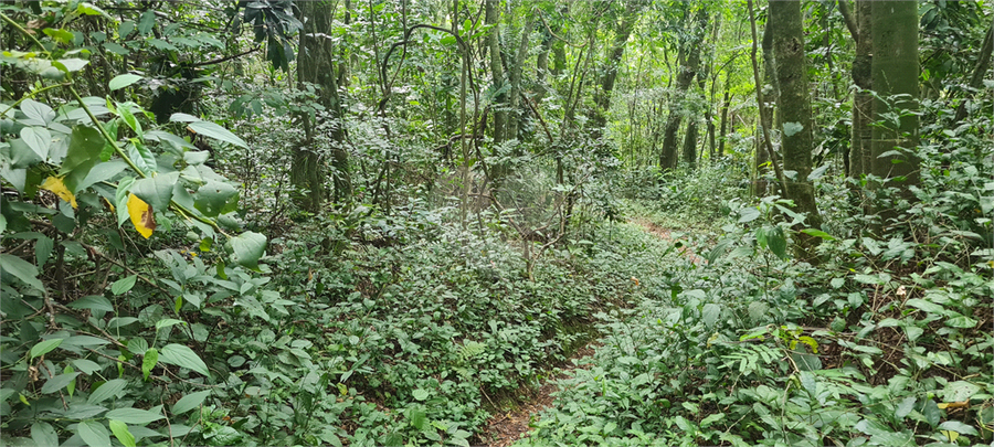 Venda Terreno Mairiporã Caraguatá REO1062051 12