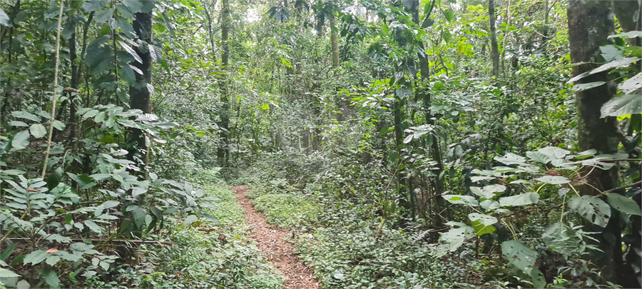 Venda Terreno Mairiporã Caraguatá REO1062051 29