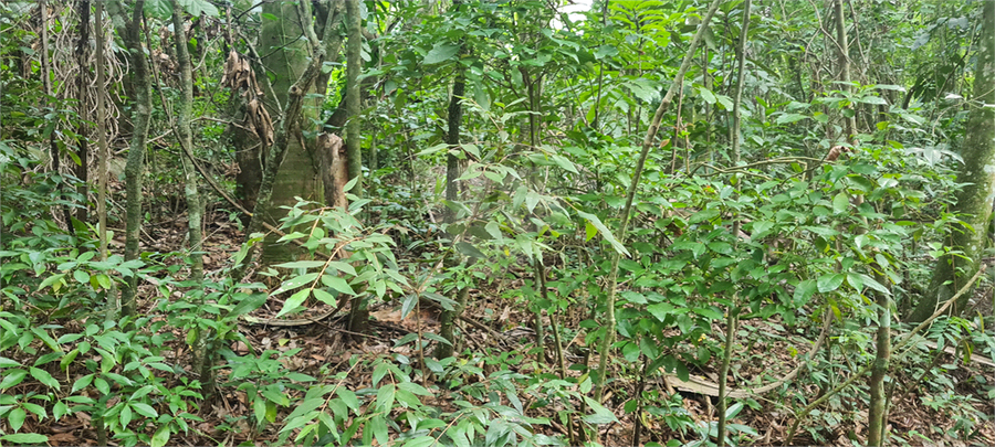 Venda Terreno Mairiporã Caraguatá REO1062051 3