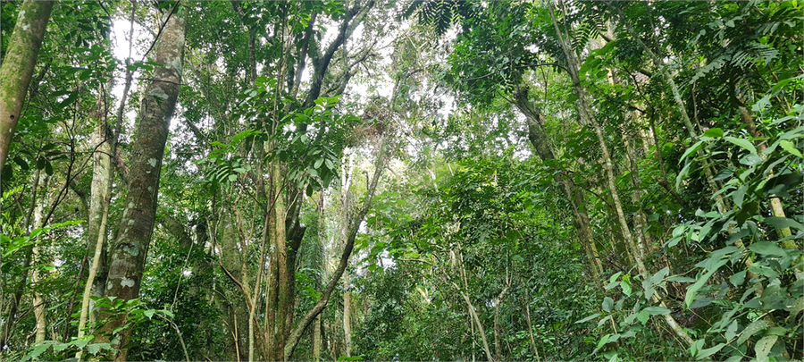 Venda Terreno Mairiporã Caraguatá REO1062051 27