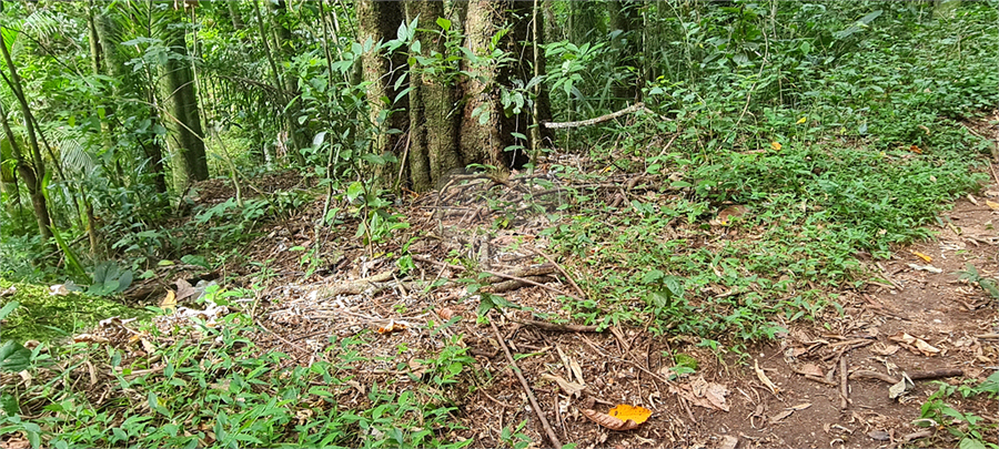 Venda Terreno Mairiporã Caraguatá REO1062051 15