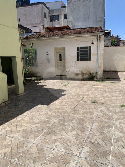 Foto REO1062059