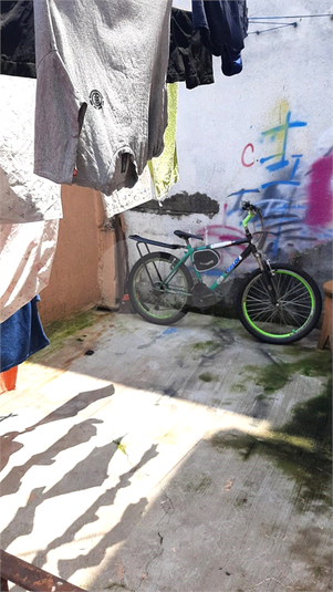 Foto REO1062163