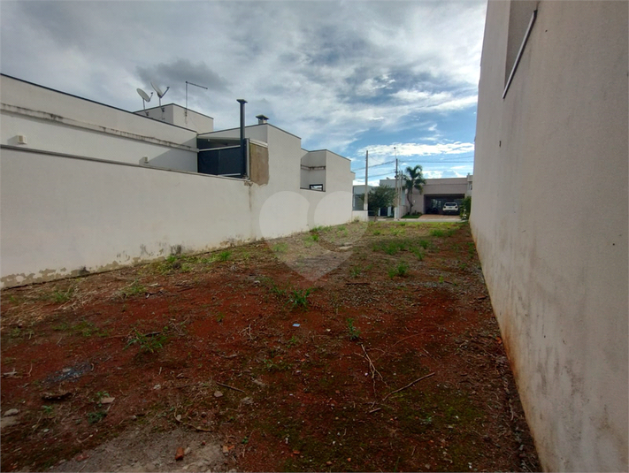 Foto REO1062196