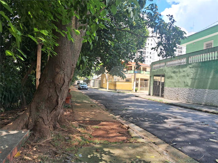 Foto REO1062229