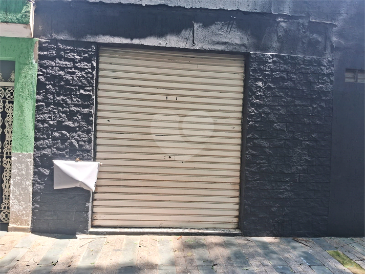 Foto REO1062229