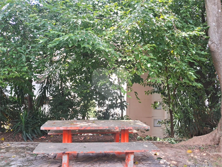 Foto REO1062229
