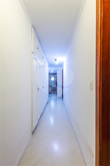 Foto REO1062277