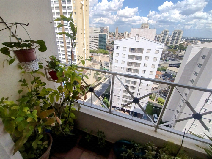 Foto REO1062381