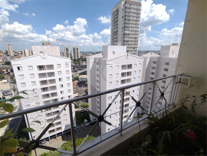 Foto REO1062381