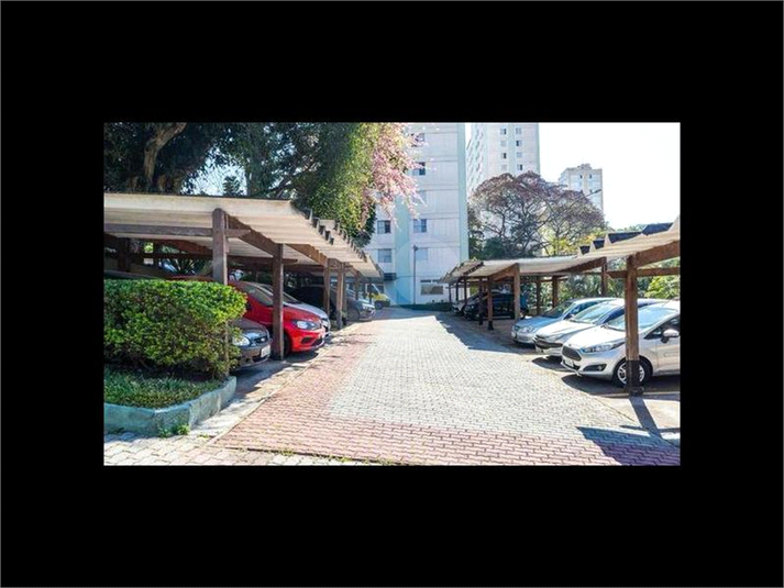 Aluguel Apartamento São Paulo Vila Irmãos Arnoni REO1062414 12