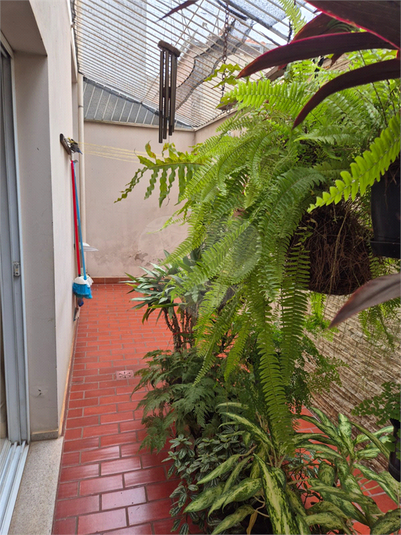 Foto REO1062464