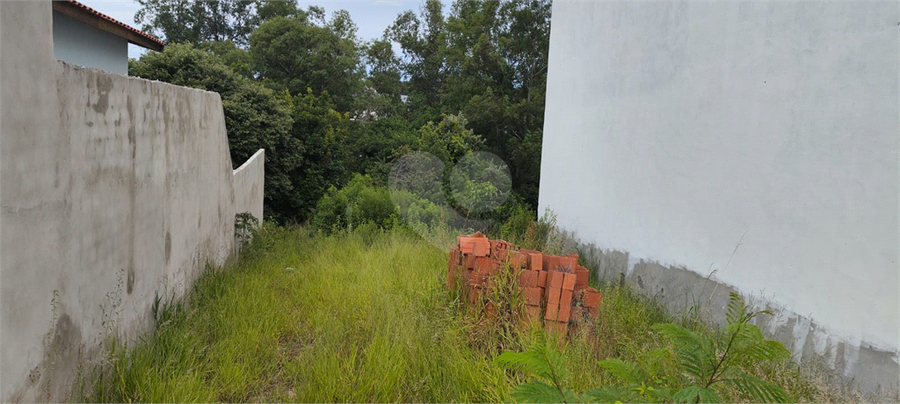 Foto REO1062530