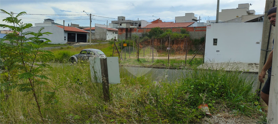 Foto REO1062530