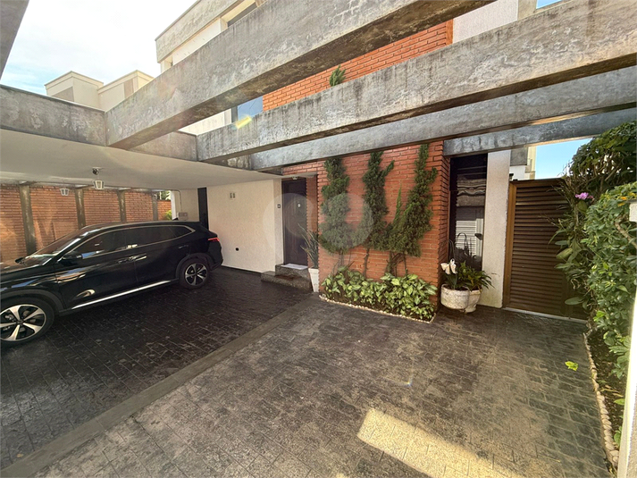 Foto REO1062535