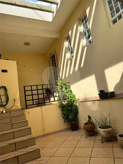 Foto REO1062586