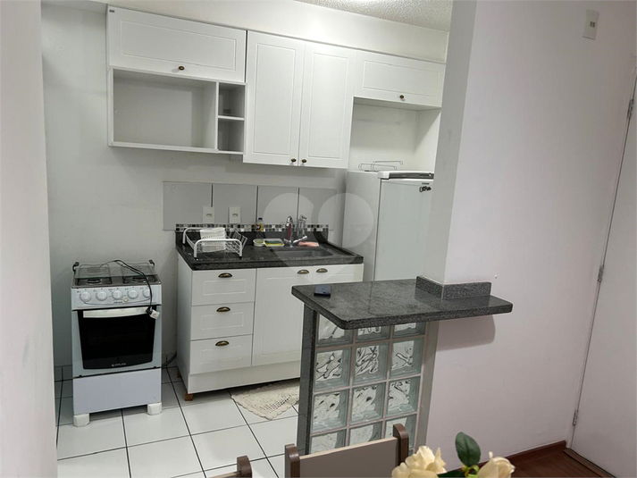 Aluguel Apartamento São Paulo Jardim Germânia REO1062632 6