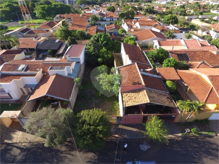 Foto REO1062646