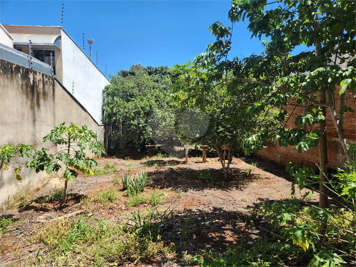 Foto REO1062646