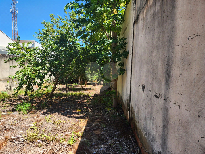 Foto REO1062646