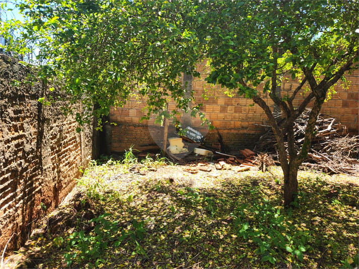 Foto REO1062646